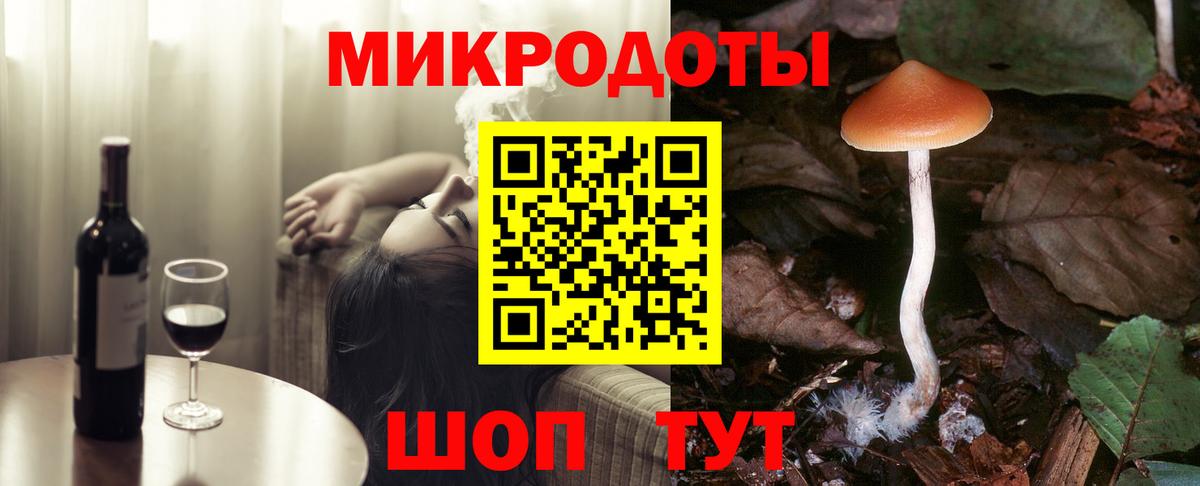 Псилоцибиновые грибы Psilocybine cubensis Великий Устюг
